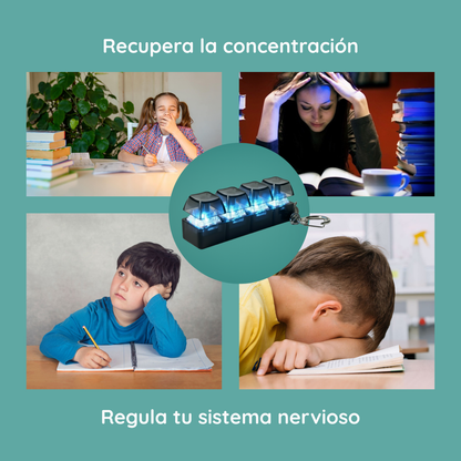 Teclado Led Fidget Toy